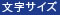 文字サイズ
