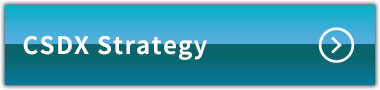 CSDX Strategy