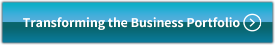 Transforming the Business Portfolio