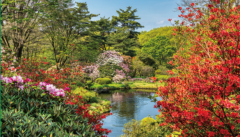 Akagi Nature Park: Initiatives to Preserve Nature for Future Generations (Japan)