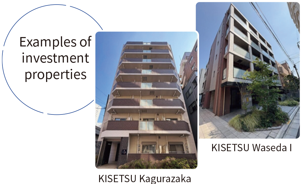 Examples of investment properties