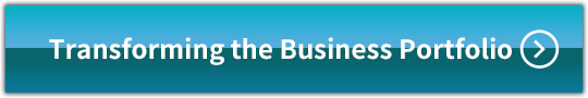 Transforming the Business Portfolio