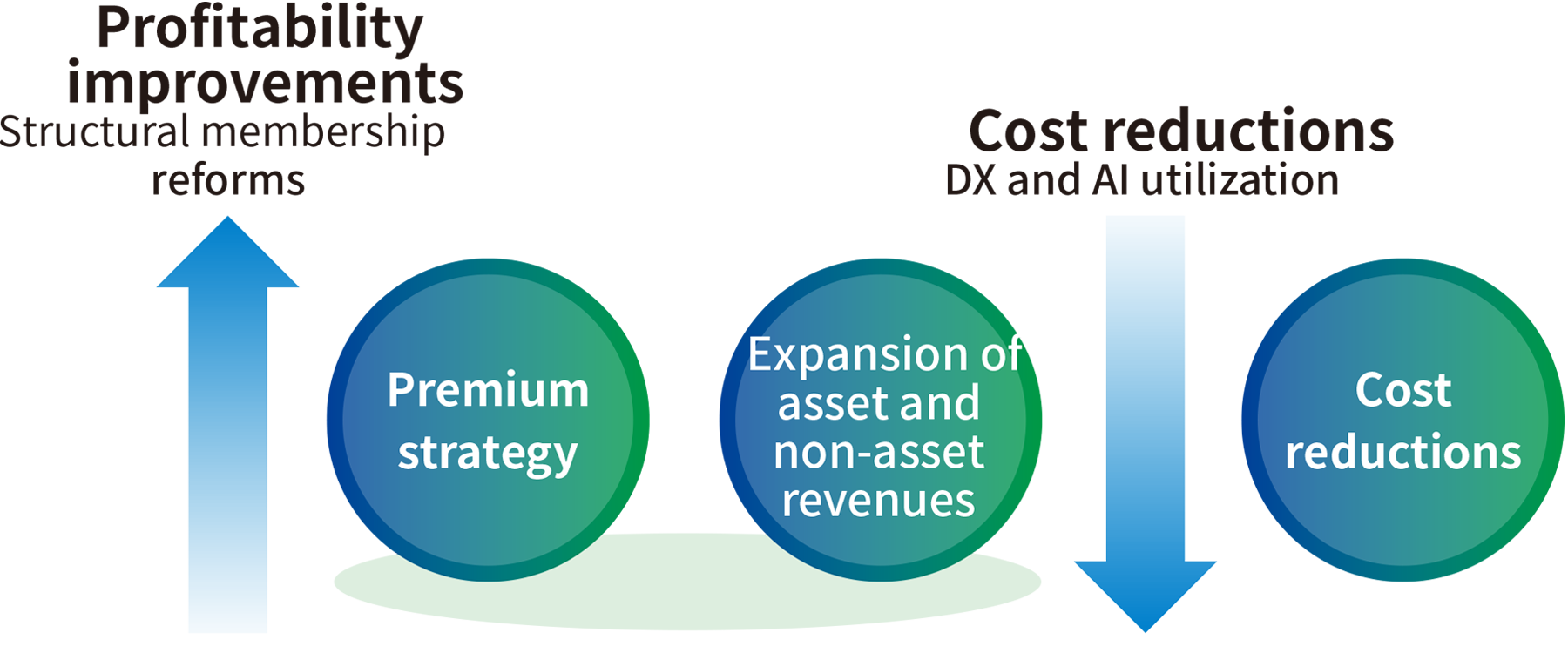 Accelerating the premium strategy and reducing costs through structural reforms