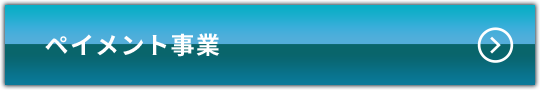 ペイメント事業